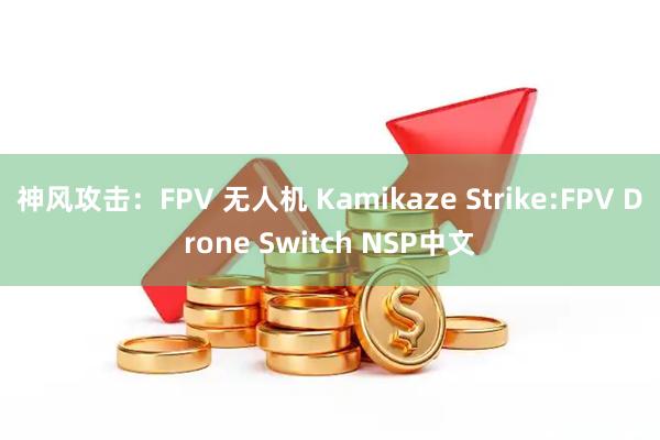 神风攻击：FPV 无人机 Kamikaze Strike:FPV Drone Switch NSP中文