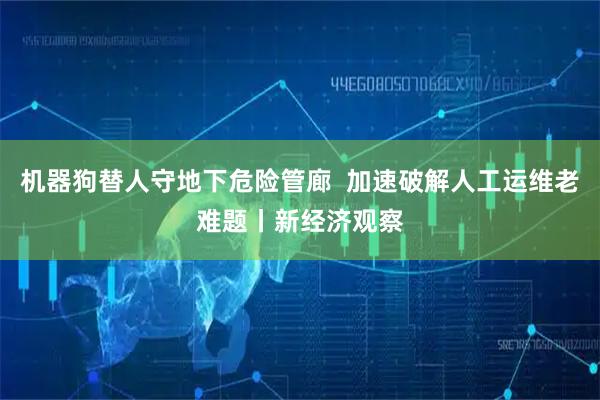 机器狗替人守地下危险管廊  加速破解人工运维老难题丨新经济观察