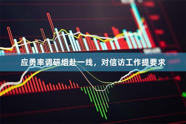 应勇率调研组赴一线，对信访工作提要求