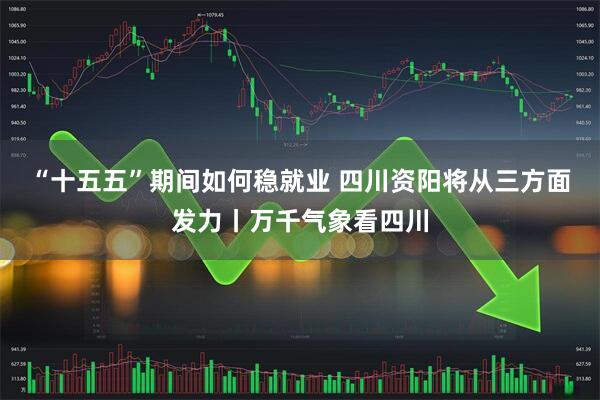 “十五五”期间如何稳就业 四川资阳将从三方面发力丨万千气象看四川